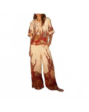 Carolina K Palazzo Pant - Brown