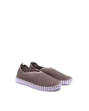 Ilse Jacobsen Tulip 139 Shoe - Brown