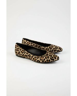 Sesa Footwear Savannah Shoe - Black