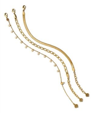 Kendra Scott Kassie Set Of 3 Chain Bracelets - Metallic