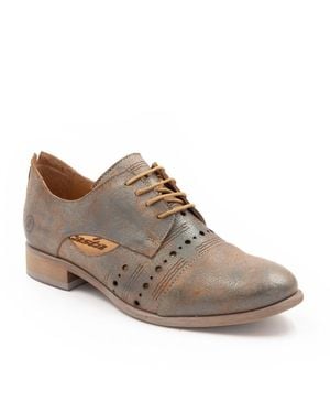Casta Fargo Lace Up Loafer - Brown