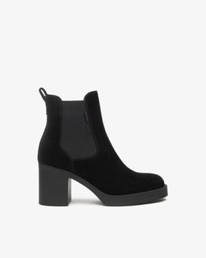 Nero Giardini Chelsea Suede Block-Heel Boots - Black