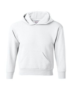 Hanes Ecosmart Youth Hooded Sweatshirt - Gray