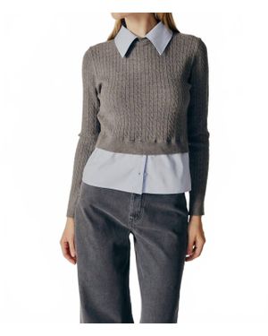 DELUC Amsonia 2 - Gray