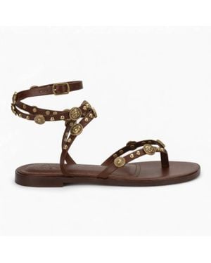 Love Rio Lindy Gladiator Flat Sandals - Brown