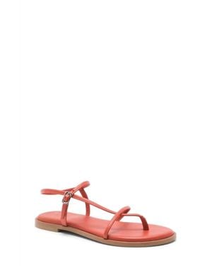 Free People Corsica Strappy Sandal - Pink