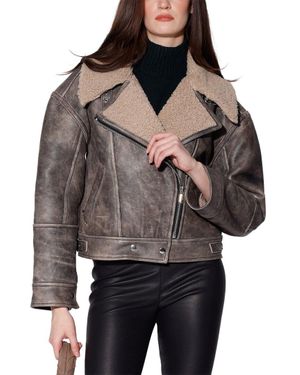 Walter Baker Richie Shearling Jacket - Gray