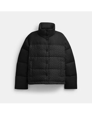 COACH Signature Down Jacket - Black