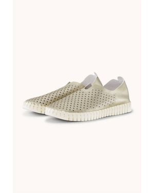 Ilse Jacobsen Tulip 3576 Shoes - Multicolor