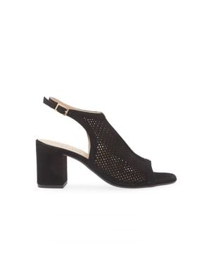 Cordani Illia Sandal - Black