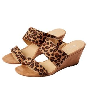 Cl By Laundry Thinker Natural Leopard Thinkerleopard-S-265 - Brown
