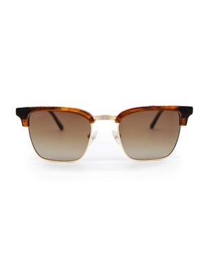 WMP Eyewear Jaxon Polarized Rectangular Sunglasses - Brown