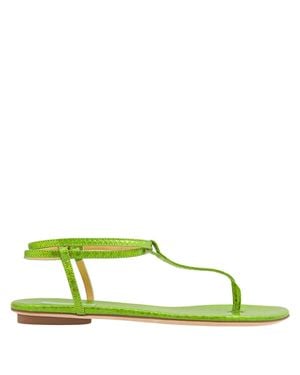 Giannico Footwear Gi0209.15cc 043 - Green