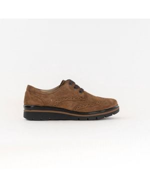 Fidelio Brogue 505102 Shoes - Brown