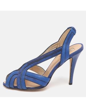 Roberto Cavalli Roberto Cavalli - Blue
