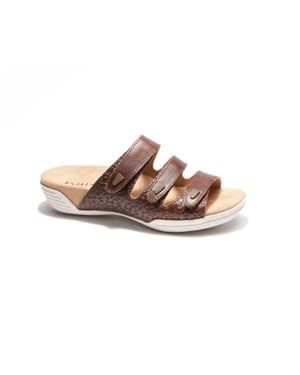 HALSA FOOTWEAR Delight Sandal - Brown