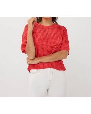 EsQualo Open Knit Sweater - Red