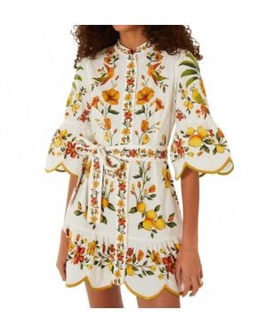 FARM Rio Lemon Bouquet Belted Dress - Metallic