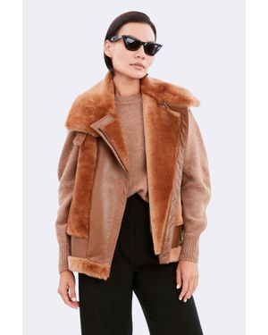 Dawn Levy Maya - Brown