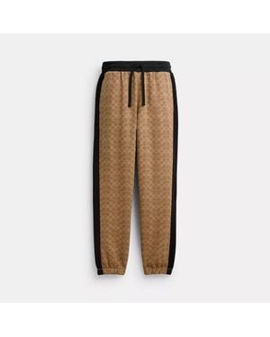 COACH Signature Sweatpants - Brown