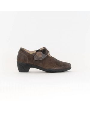 Fidelio Hallux Grace 265002 Boot - Brown