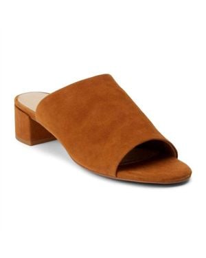 Matisse Otis Slip On - Brown
