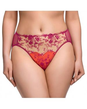 Dita Von Teese Victresse Hi Cut Brief - Red