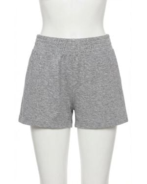 Z Supply Weekender Short - Gray