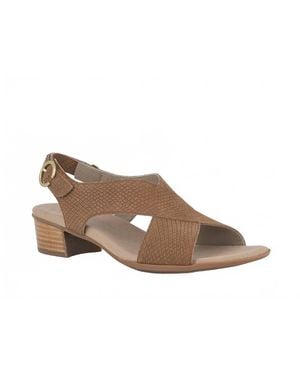 Munro Jenny Sandal - Brown
