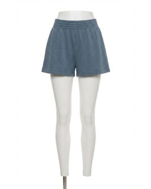 Z Supply Weekender Shorts - Blue