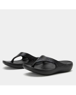 Alegria Ode Thong Sandals - Black