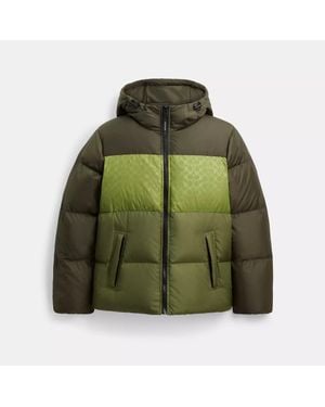 COACH Colorblock Down Jacket - Green