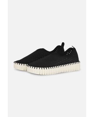 Ilse Jacobsen Tulip 3373 Shoe - Black