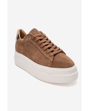 Forever & Always Shoes Nera Leather Casual Sneaker - Brown
