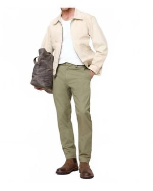 Benson Flat Front Chino Pants - Natural