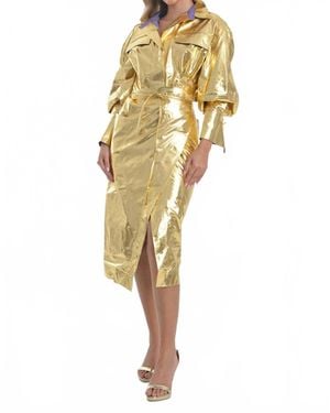 Steffany Milano Golden Glam Trench Coat Dress - Metallic