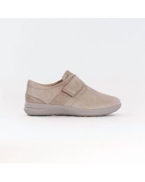 Fidelio Hi Energy Masha Shoes - Gray