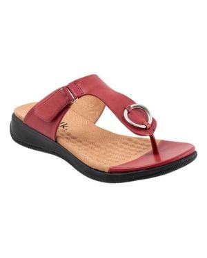 Softwalk Talara Sandal Dark Round Toe Slip-On Thong Jobb1355 - Black