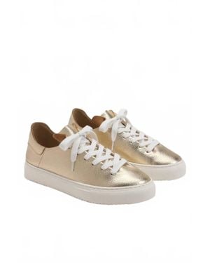 Sam Edelman Poppy Lace Up Sneaker - Multicolor