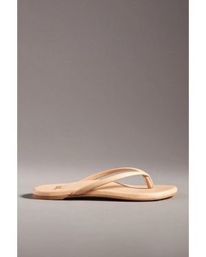 Beek Sunbeam Flip-Flop Sandals - Gray