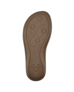 White Mountain Comate Nubuck C34536-784 - Brown