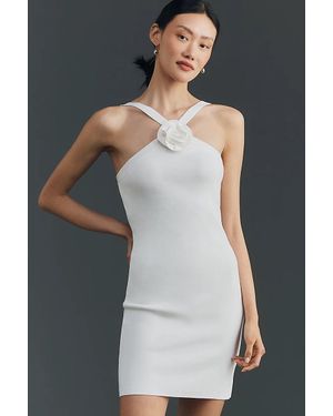Endless Rose Halter Mini Dress - Gray