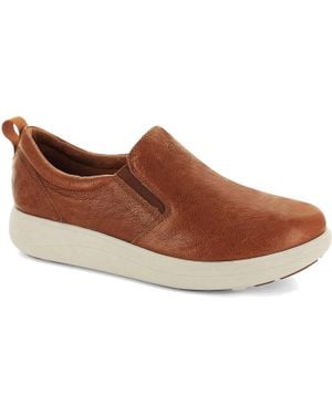 Strive Florida Ii Sneakers - Brown