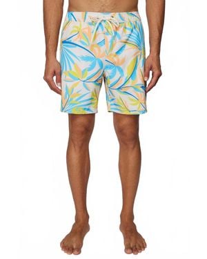 O'neill Sportswear Banyon Volleys - Blue