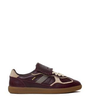 Alohas Tb.490 Club Deep Burgundy Patent Leather Sneakers - Brown