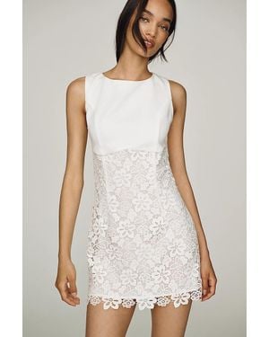 Endless Rose Lace Mini Dress - White