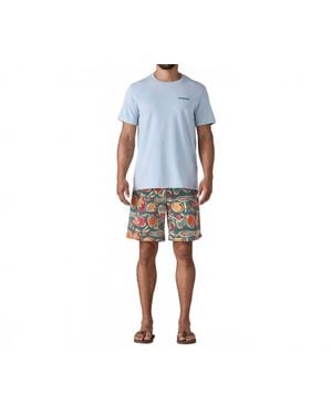 Patagonia Wavefarer Board Shorts - Blue