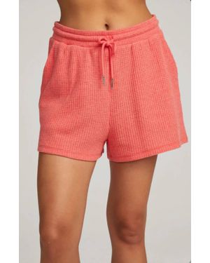 Chaser Brand Kesh Shorts - Red