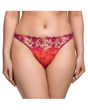 Dita Von Teese Victresse Floral Embroidery Thong - Red