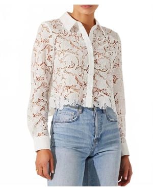 Astr Isabis Floral Lace Top - Blue